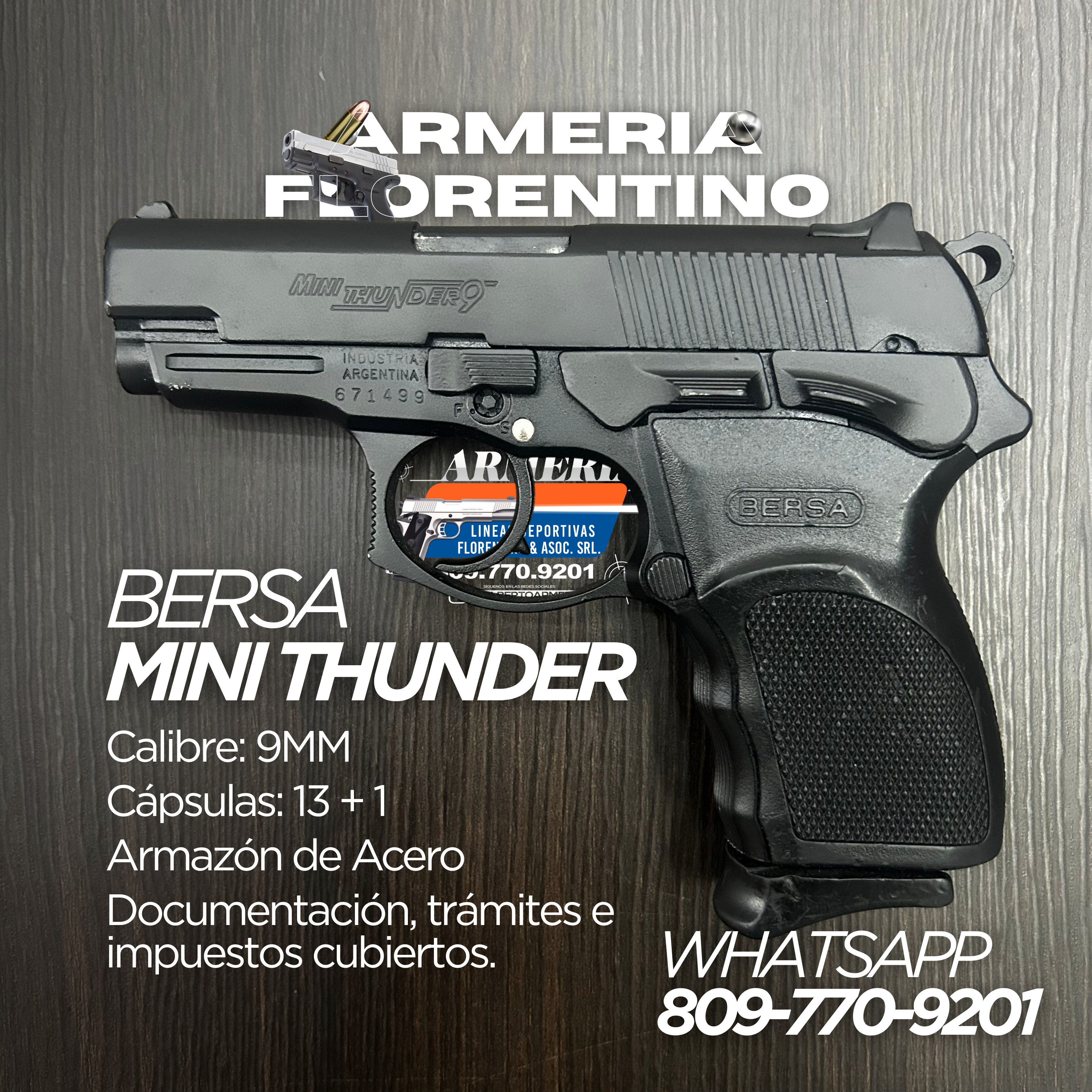 PISTOLA BERSA, MODELO MINI THUNDER 9, CALIBRE 9MM, CAPSULAS: 13 + 1