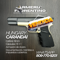 PISTOLA CARANDAI, MODELO 9MM, CAPSULAS: 13 + 1